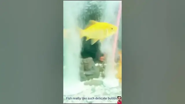 Video thumbnail for 🌟 Product Link is in Description | Increasing Air Bubble Aerator | #viral #gadget