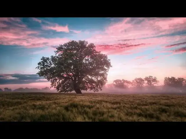 Video thumbnail for 'God is My Anchor':  Finding Unshakable Hope