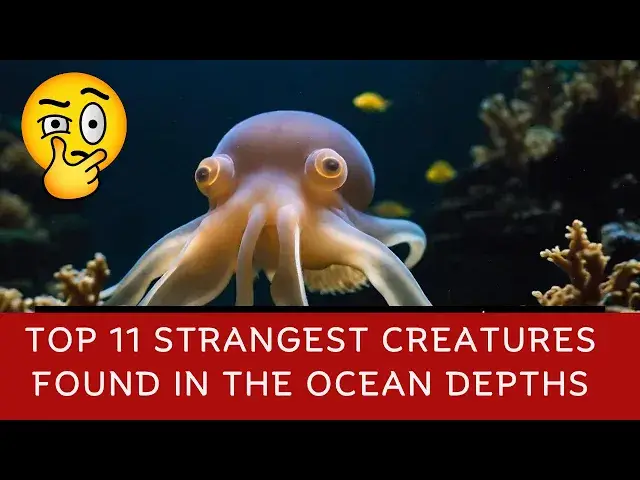'Video thumbnail for Top 11 Strangest Creatures Found in the Ocean Depths'