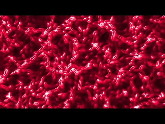 Video thumbnail for Nightmare House - Initiations with Mystic, Marilynn Hughes, Out of Body Travel