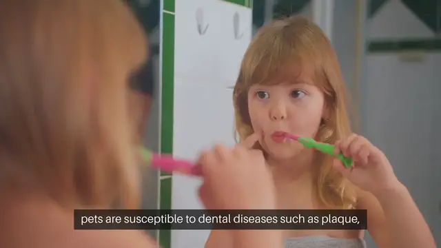 Video thumbnail for Pet Dental Care