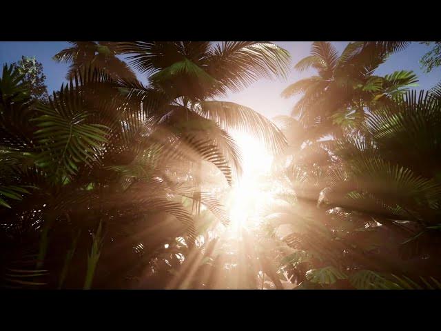 Video thumbnail for The Science of Soul -  Musings with Mystic, Marilynn Hughes, Out of Body Travel