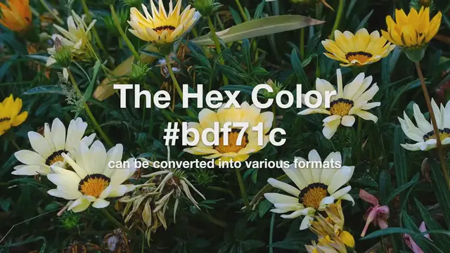 Video thumbnail for Convert Hex color to Rgb Pantone , RAL, HSL, HSV, HSB, JSON #bdf71c