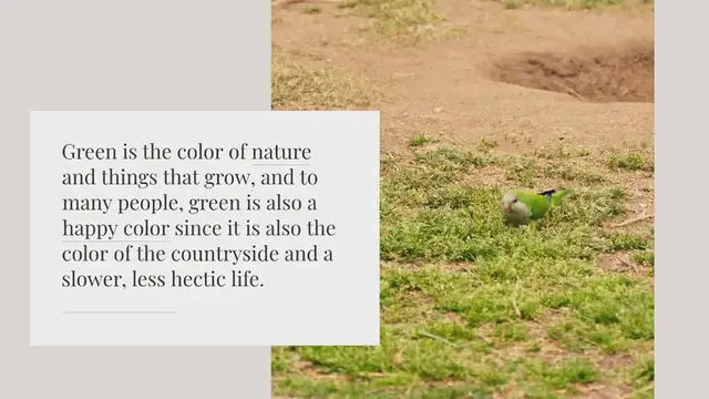 Video thumbnail for 16 Spiritual Meanings of the Color Green