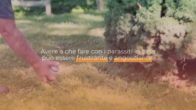 Video thumbnail for Come eliminare rapidamente cimici, scarafaggi e altri insetti dalla tua casa