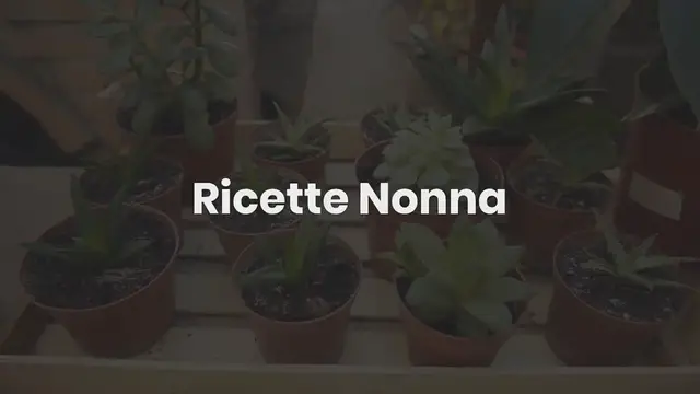 Video thumbnail for Sembra un pisello, ma è il beniamino della stanza: imparate a coltivare il SENECIO!