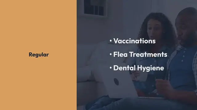 Video thumbnail for Saving Money on Pet Care in the USA