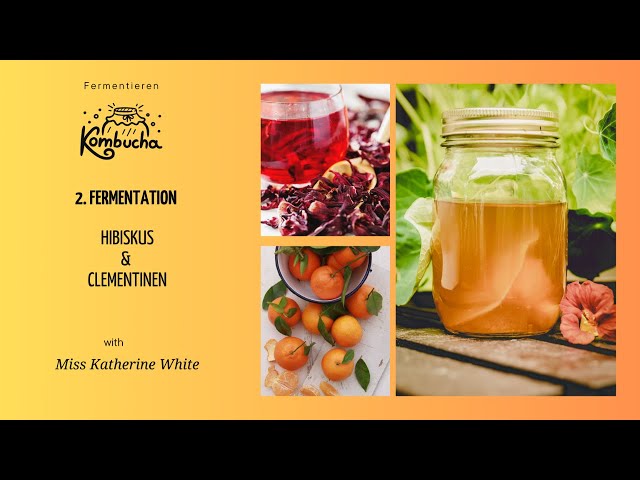 Video thumbnail for 🍹 #KombuchaTea! 2. Fermentation mit Hibiskus & Clementinen 🍊🌺 Erfrischend & spritzig! 🫛✨