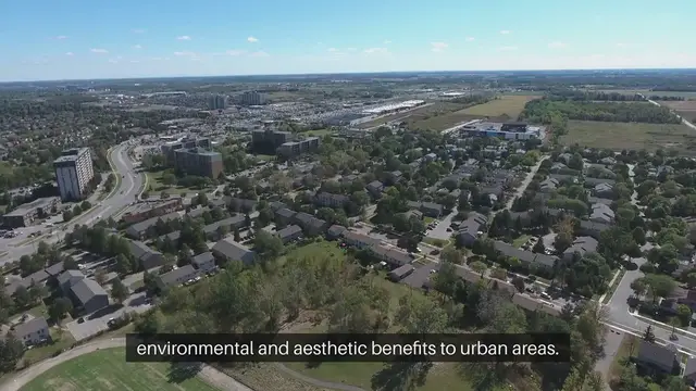 Video thumbnail for All About Green Roofs and Rooftop Garden