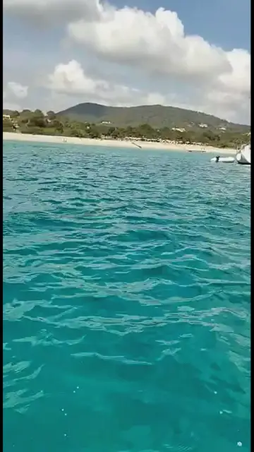 Video thumbnail for Horseshoe Whip Snake Swiftly Crosses Cala Jondal Sea, Ibiza