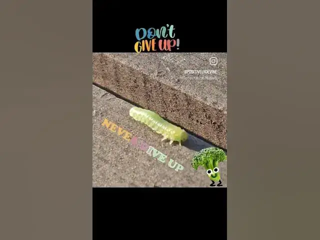 Video thumbnail for Watch me work! Keep going, don't stop 🐛