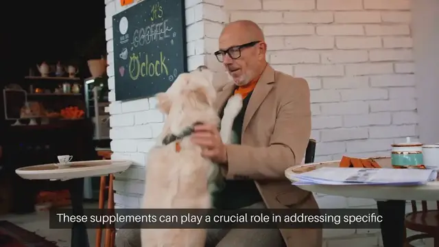 Video thumbnail for Dog Health Supplements