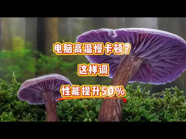 'Video thumbnail for 电脑发烫卡顿？简单设置让CPU降温一半！'
