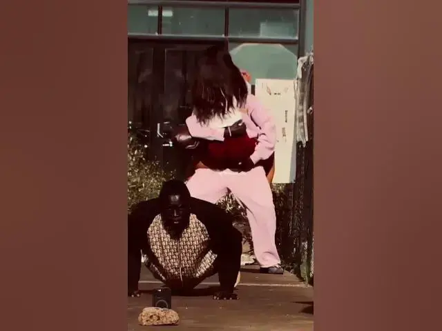 Video thumbnail for 9 November 2025