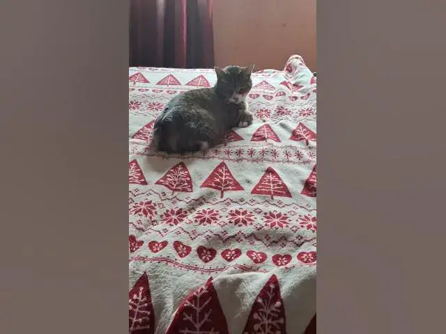 Video thumbnail for Know your place, Ghost....