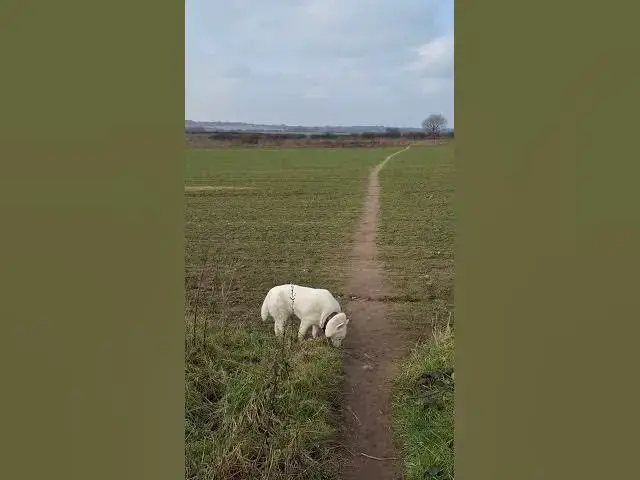 Video thumbnail for lazy days, exploring new ground with the Ghost