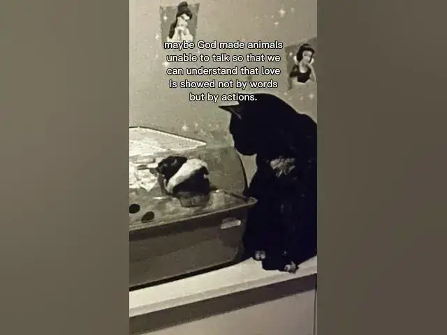 Video thumbnail for Maybe just maybe