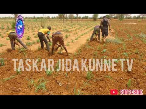 Video thumbnail for AGONARSA_BENUE