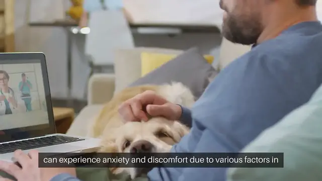 'Video thumbnail for Reducing Pet Stress at Home'