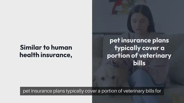 Video thumbnail for Pet Health Insurance