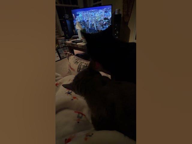 Video thumbnail for I love you ❤️