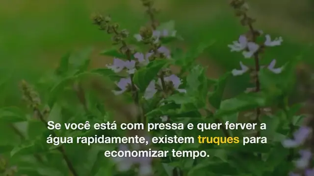 Video thumbnail for Como ferver a água mais rápido?