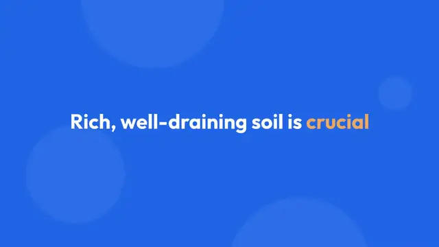 Video thumbnail for Cultivating a Thriving Vegetable Garden