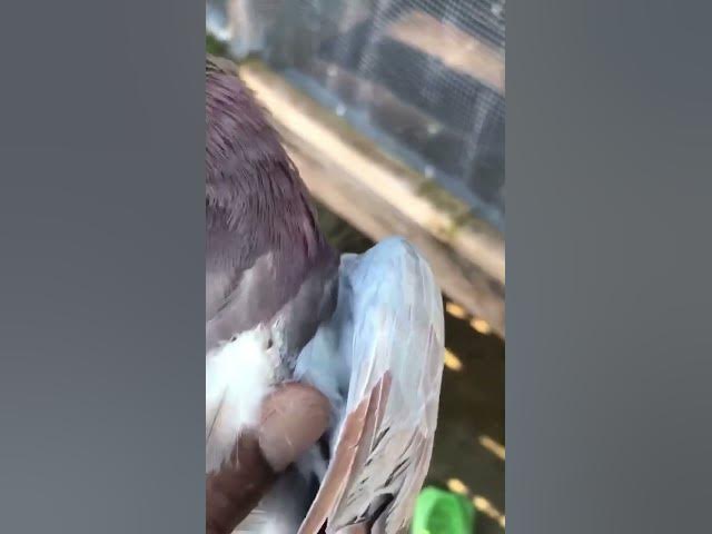 Video thumbnail for December 28, 2023