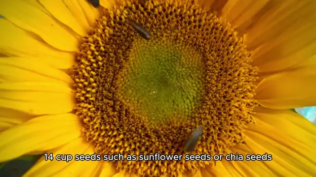 Video thumbnail for greek pasta salad recipe