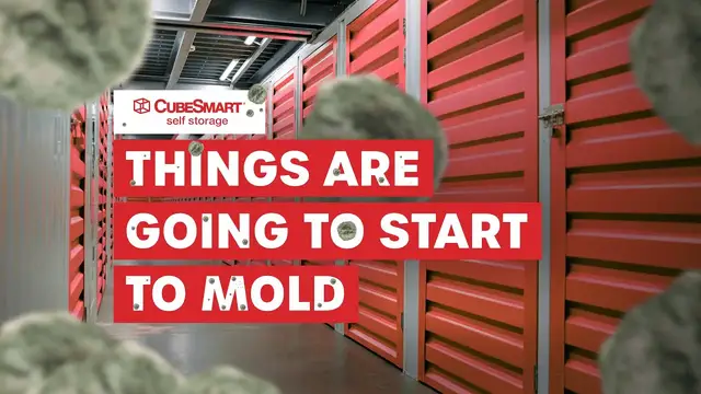 'Video thumbnail for "Take your things out..." CubeSmart Self Storage Review | PissedConsumer'