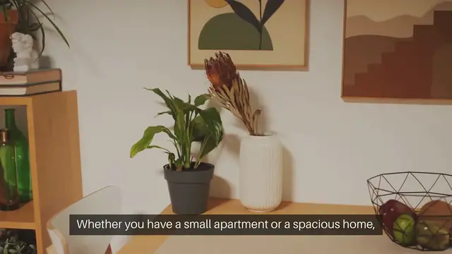 Video thumbnail for Indoor Gardening Window Shelf Gardening