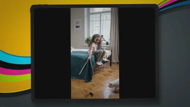 Video thumbnail for The Lifespan of Singapura Cats: A Comprehensive Guide