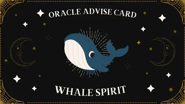 Video thumbnail for Oracle Advice Card - Whale Spirit