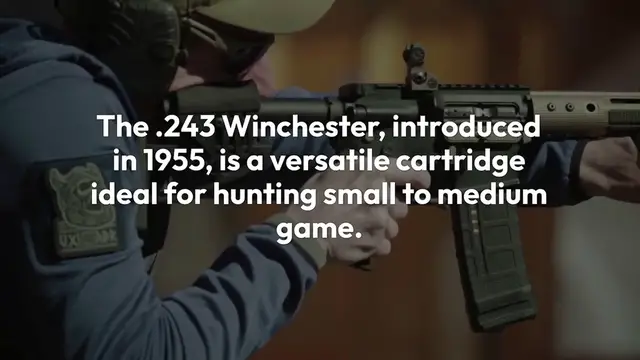 Video thumbnail for 243 vs 6.5 Creedmoor: A Comprehensive Comparison