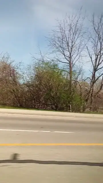 Video thumbnail for Cambridge Drive from Melrose Street to Kathlene Crescent (Apr. 26, 2026)