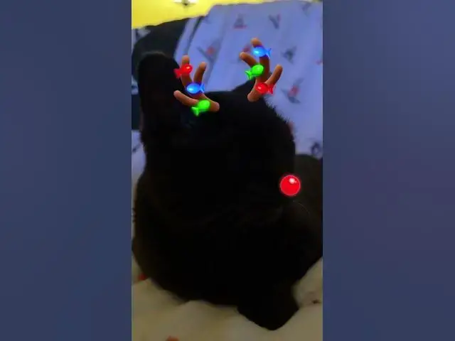 Video thumbnail for Redfoxx Rednose Reindeer