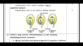 Video thumbnail for 12th Bio-Botany First Mid Term Answer Keys 2019-20 | Namakkal District | Tamil Medium