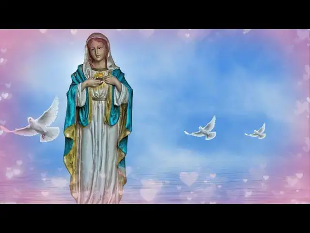 Video thumbnail for MARIJINA PORUKA -  Živite u vremenu tuge i samo ćete snagom molitve moći podnijeti teret kušnji