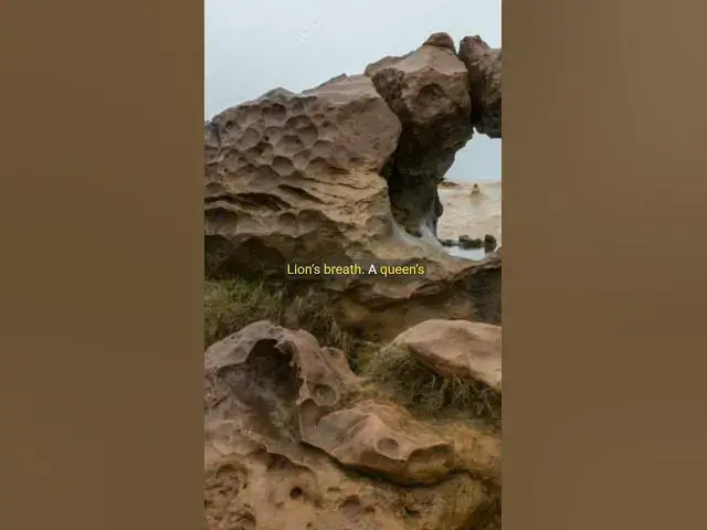 Video thumbnail for VANISHING STONE 4,000 Years of Sculpted Silence