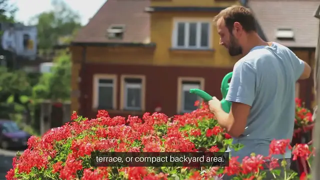 Video thumbnail for Small Patio Garden