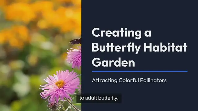 Video thumbnail for Creating a Butterfly Habitat Garden