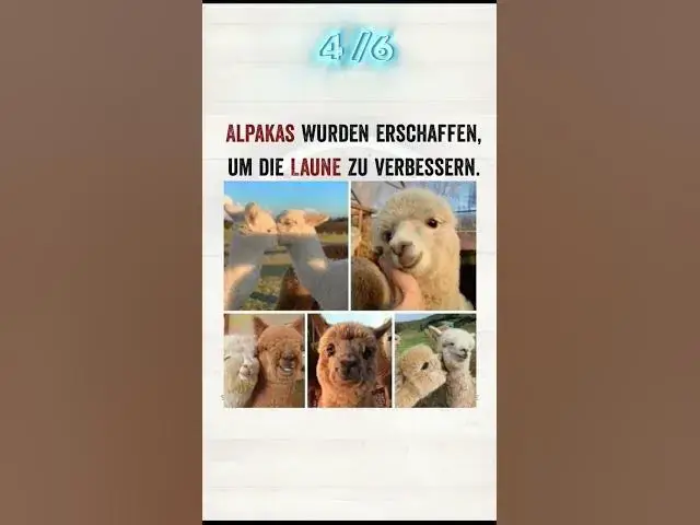 Video thumbnail for #shorts #deutschland #meme #humor #schwarzerkaffee