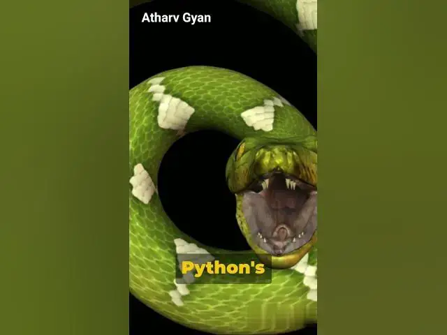 Video thumbnail for How to use python for web development #python #coding #programming #webdev #softwaredevelopment