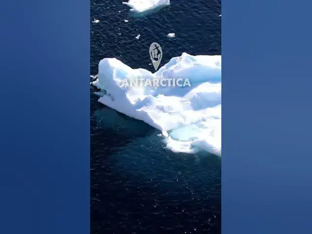 Video thumbnail for Sailing in Antarctica with Holland America Line #cruise #antarctica #hollandamerica