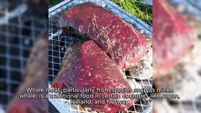 Video thumbnail for Whale Meat Recipe