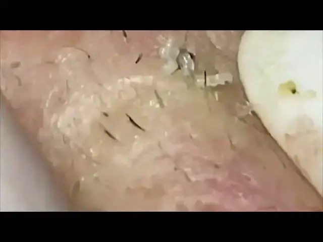 Video thumbnail for Satisfying Relaxing Relax Every SacDepSpa Hours #100005