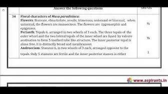 Video thumbnail for 12th Botany (Pure Science) Public Exam March 2019 Answer Key | English Medium | Team Aspirants