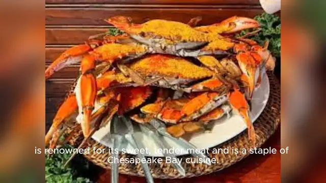 Video thumbnail for maryland blue crab