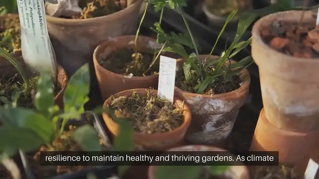 Video thumbnail for Cottage Gardening in Changing Climates Adapting to Challenges