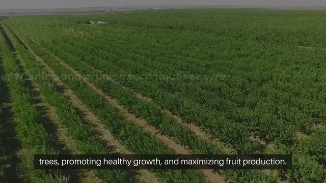 Video thumbnail for Apple Tree Training and Pruning